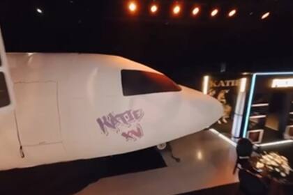 Adentro del salón había un avión gigante con 20 butacas (Foto: Captura de video / Instagram @__carlitostevez)