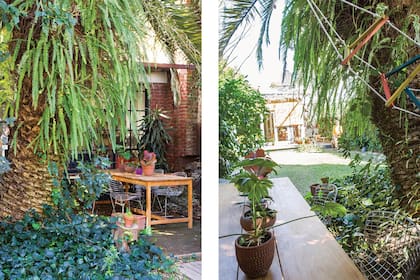 Más cerca de la casa principal hay un enorme ciprés y una palmera de la que cuelga una trepadora hecha con sogas y tablitas de colores.