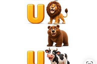 ¿Podés encontrar la palabra escondida en esta imagen?