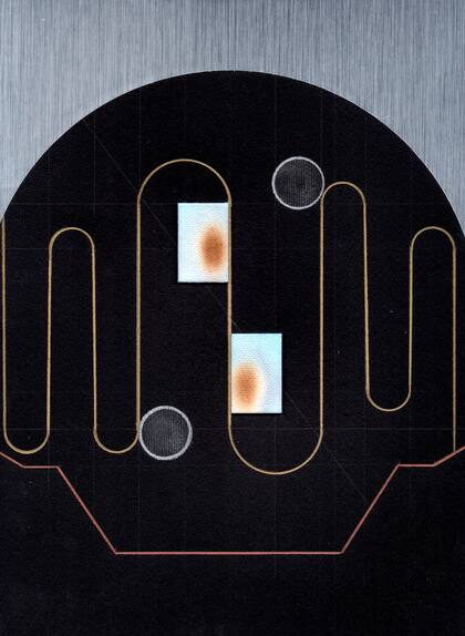 ADN #83, de la serie ADN, Erik Arazi (Buenos Aires, 31 años)