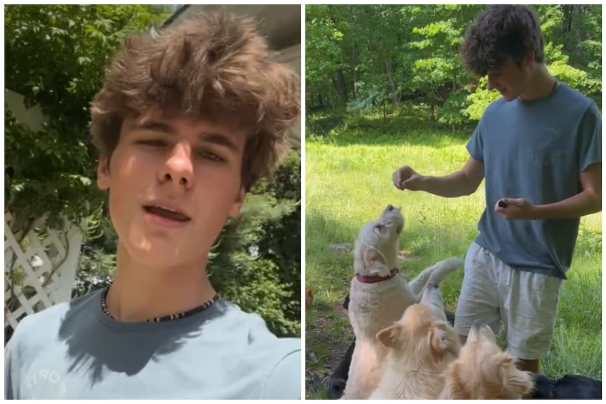 Adolescente comparte sus secretos para ganar US$600 en un día como cuidador de perros