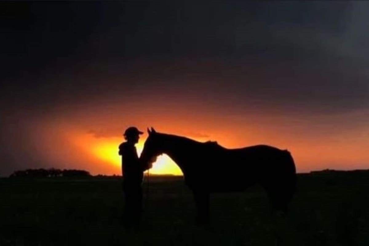 Adolfito Cambiaso y Cuartetera, un atardecer en el campo, una dupla explosiva