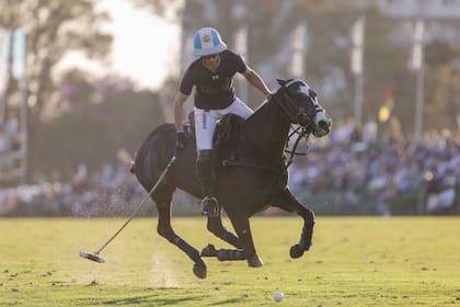 Adolfo "Poroto" Cambiaso transita la cancha Lewis Lacey, histórica de Hurlingham Club, en la final que hace dos semanas La Dolfina le ganó a La Hache por el Abierto; ése fue el único partido del certamen que tuvo lugar en la sede de la entidad de origen inglés.