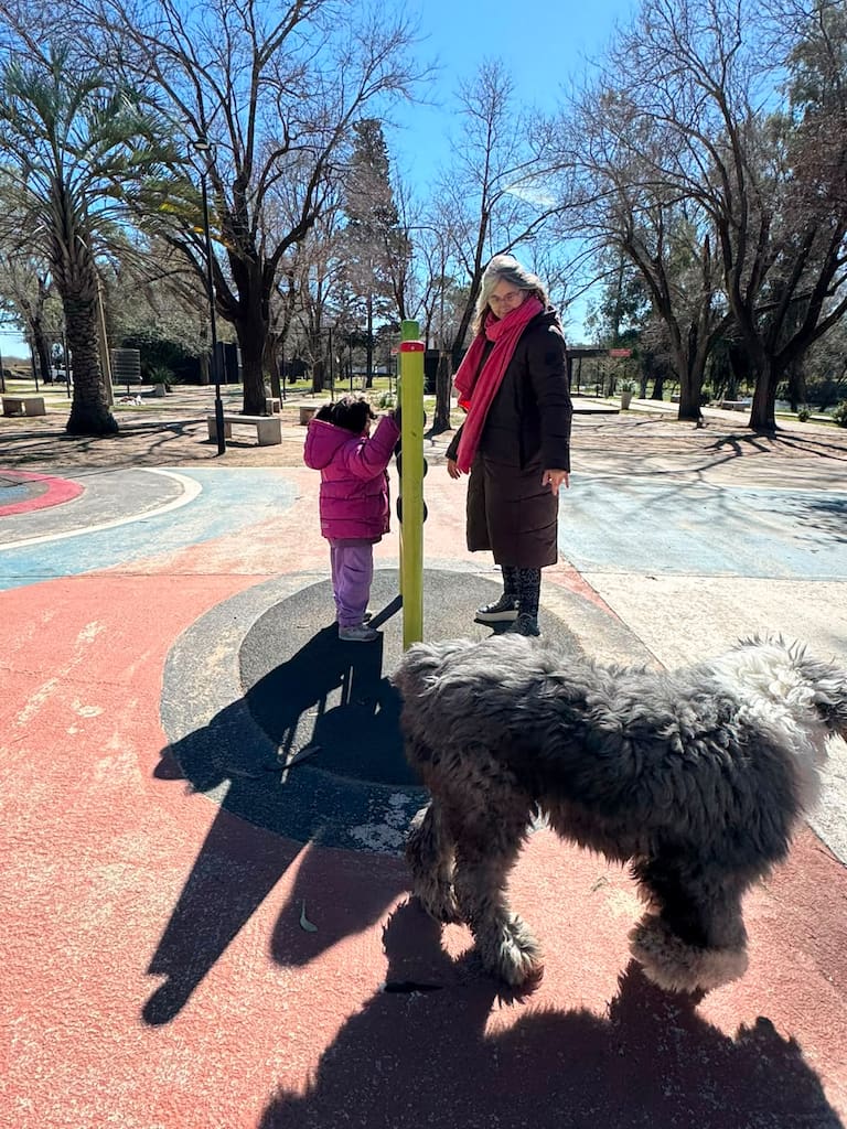 Adopción comunidad