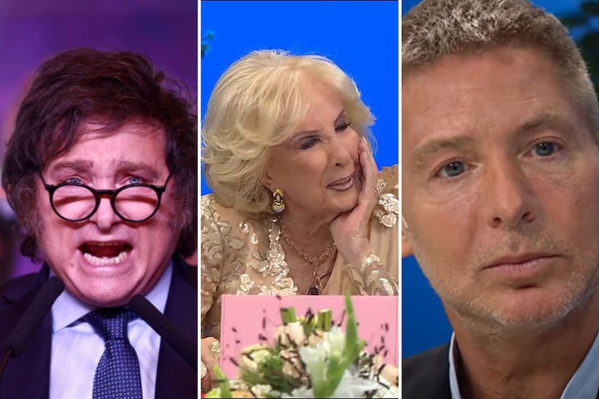 Adrián Suar criticó la ley ómnibus en La Noche de Mirtha