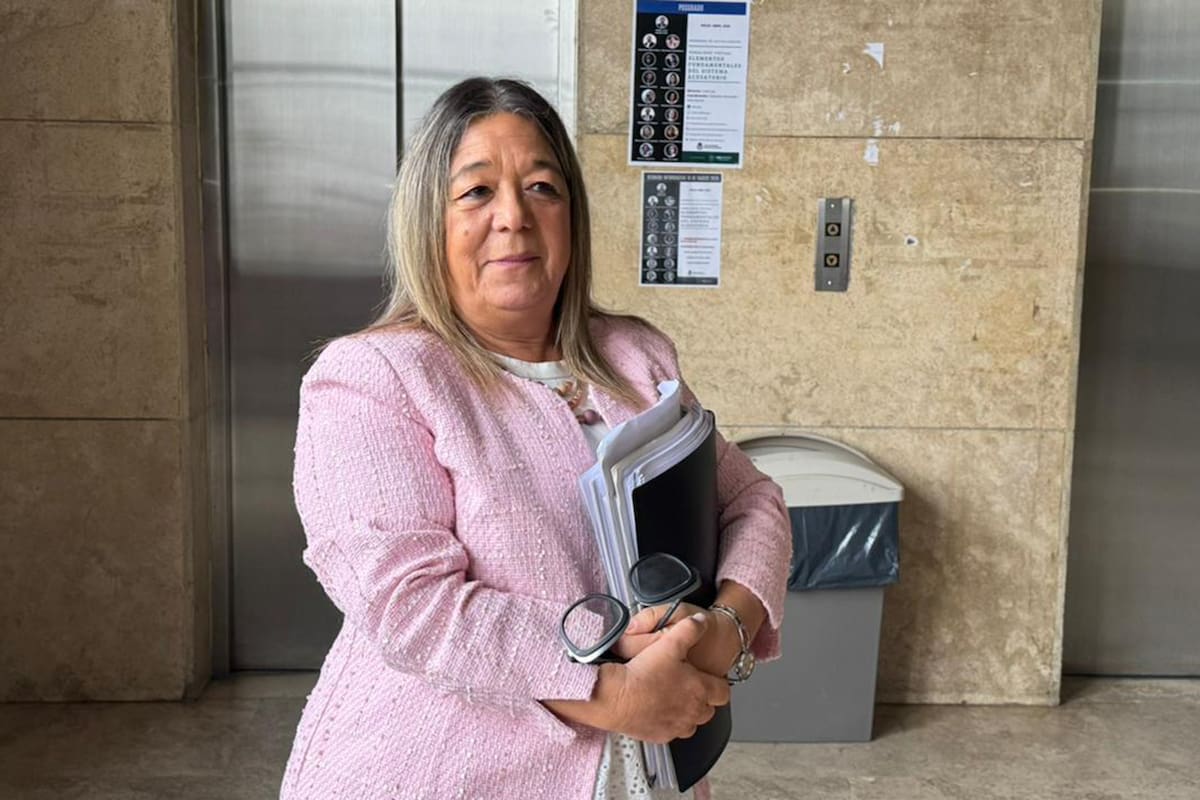 Adriana Mónica Nechevenko, la escribana de Adorni, al llegar a los tribunales de Comodoro Py