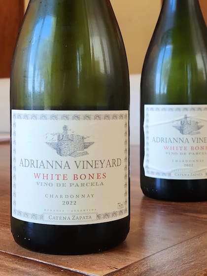 Adrianna Vineyard White Bones, el mejor vino blanco argentino, según James Suckling