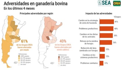 Adversidades en ganadería bovina