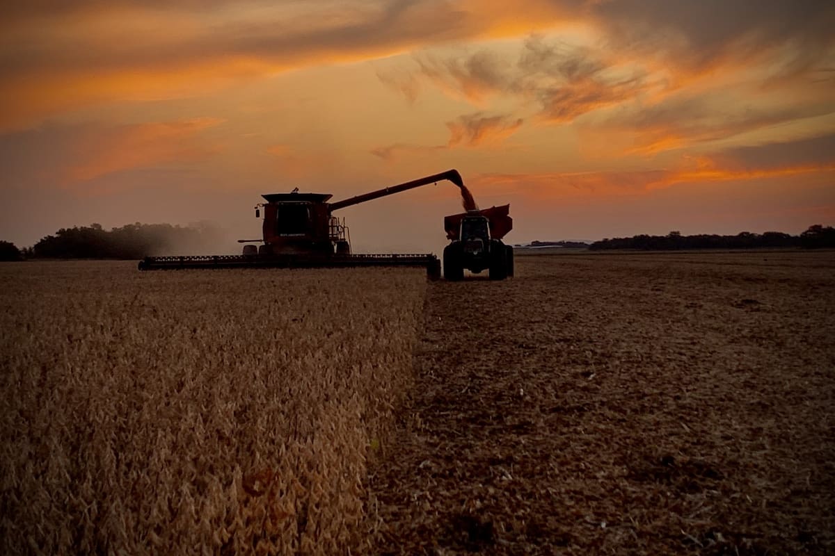 Advierten por el estancamiento de la agricultura