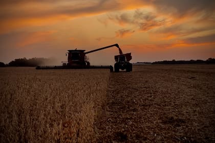 Advierten por el estancamiento de la agricultura