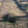 Ultimátum a un municipio por la “grave e insostenible situación” de los caminos rurales