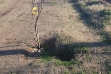 Amenazan con ir a la Justicia: ultimátum a un municipio por la “grave e insostenible situación” de los caminos rurales