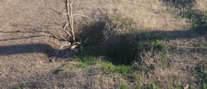 Ultimátum a un municipio por la “grave e insostenible situación” de los caminos rurales
