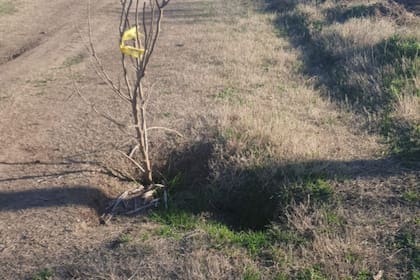 Amenazan con ir a la Justicia: ultimátum a un municipio por la “grave e insostenible situación” de los caminos rurales