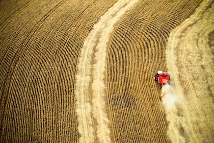 El mercado también siguió de cerca el informe mensual del USDA, que confirmó un escenario de abundante oferta de granos en Sudamérica y Norteamérica