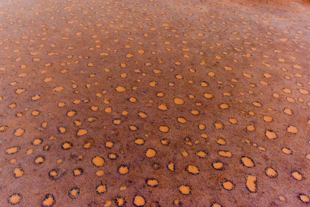 Aerial view of fairy circles, located in the Namib Desert, in the Namib-Naukluft National Park of Namibia.