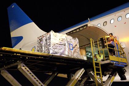 Aerolíneas Argentinas concretó la primera exportación de esta fruta