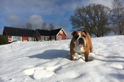 Aese ahora disfruta de su casa