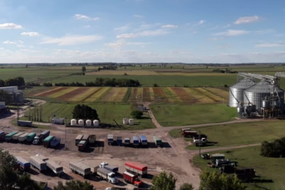 AFA avanza en el nuevo proyecto