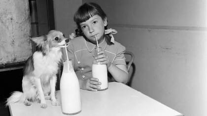 Afecciones como la osteopenia y la osteoporosis suelen ser enfermedades silenciosas