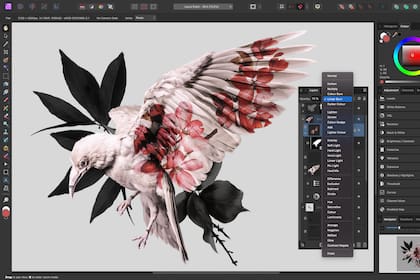 Affinity Photo Editor (Photo: Business Wire)