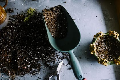 Aficionados o con intención de profesionalizarse en jardinería o paisajismo, la oferta educativa de 2021 se presenta con variantes de duración, modalidad y especificidad.