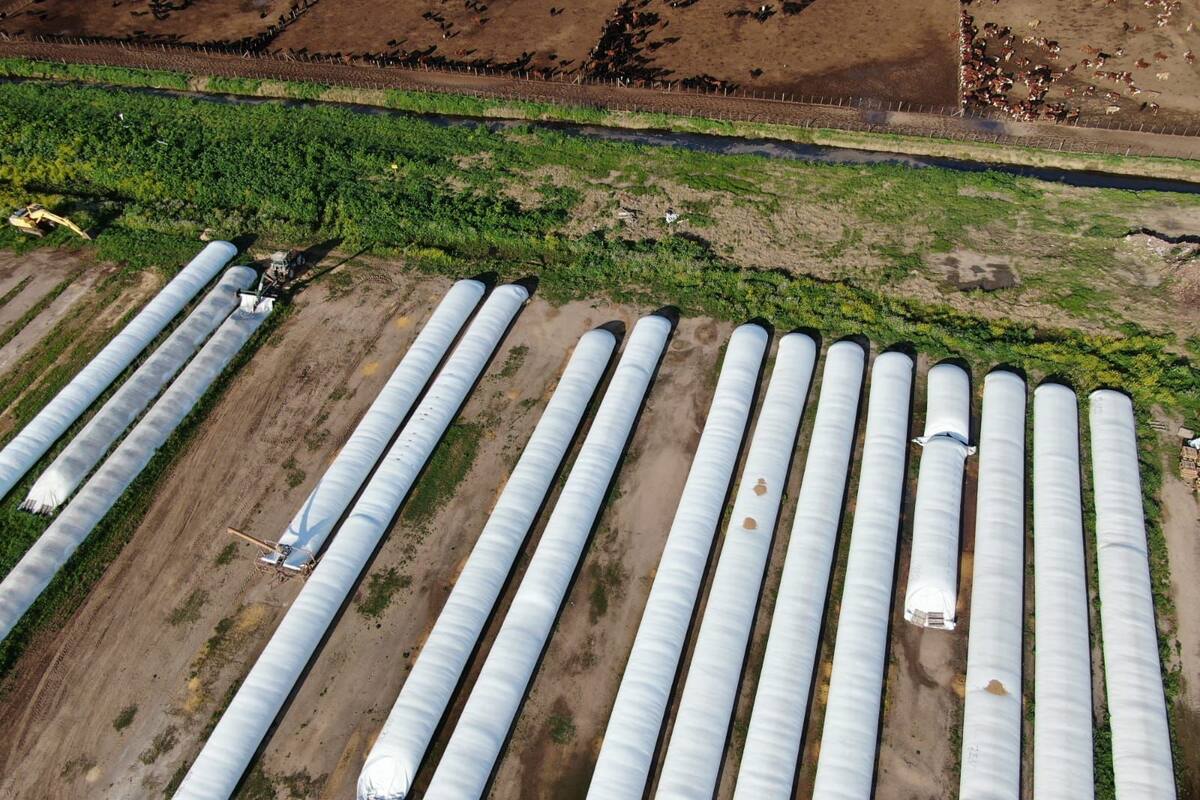 AFIP incautó casi 3000 toneladas de granos de maíz supuestamente sin respaldo documental