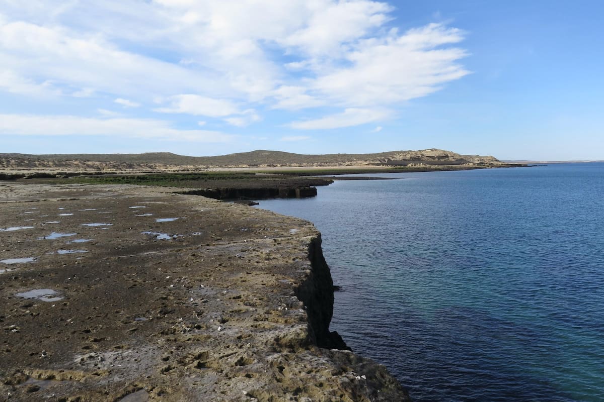 Afloramientos de la Formación Puerto Madryn en el área de Punta Buenos Aires y San Román (Chubut), donde se encontró el fósil de Kawas benegasorum.
