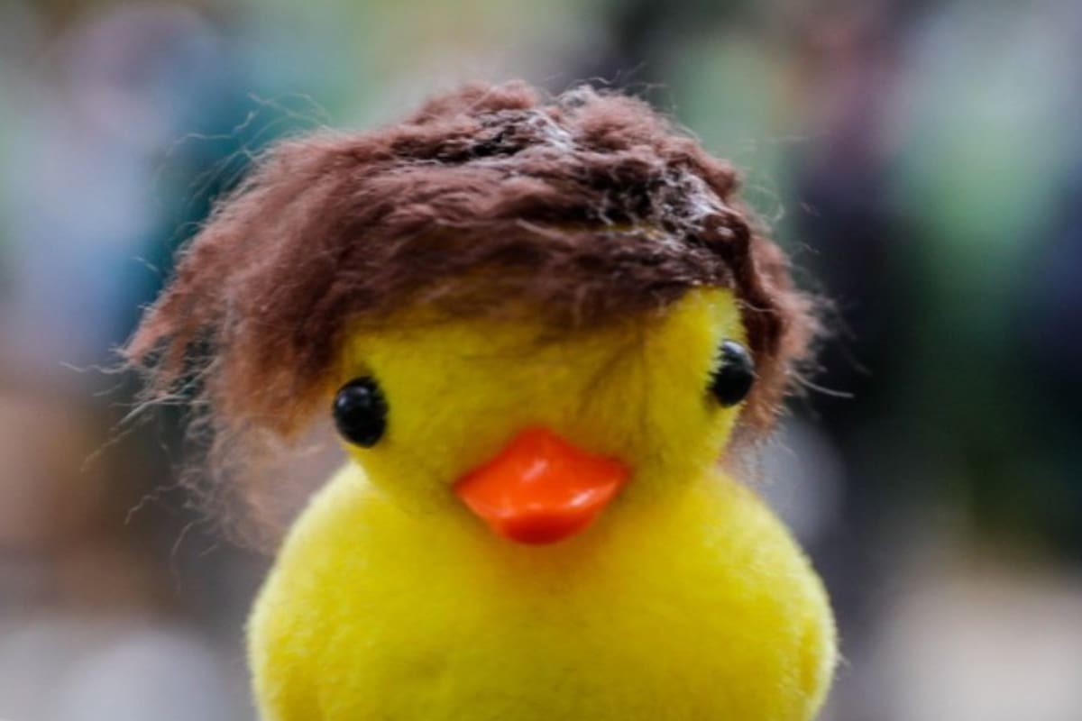 Afuera del Luna Park, en la previa de la presentación de Javier Milei, se vendían patitos amarillos con peluca (Foto: X)