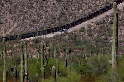 Agentes de la Patrulla Fronteriza en una sección del Monumento Nacional Organ Pipe Cactus, una extensa reserva, en Lukeville, Arizona. (archivo)
