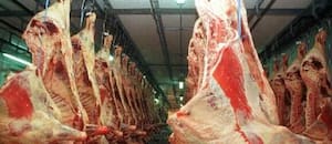Otra cámara frigorífica respaldó los aportes obligatorios al Instituto de la Carne y criticó un plan del Gobierno