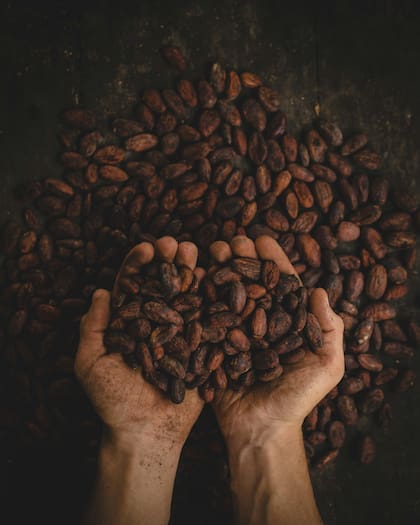 Agregarle cacao al café tiene beneficios para el organismo