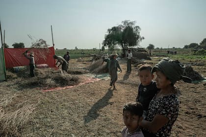 Agricultores desplazados internamente cosechando cultivos en una región controlada por los rebeldes