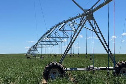 Agricultura: “Estas inversiones muestran la importancia del riego como herramienta para estabilizar los rendimientos y asegurar la disponibilidad de forrajes”