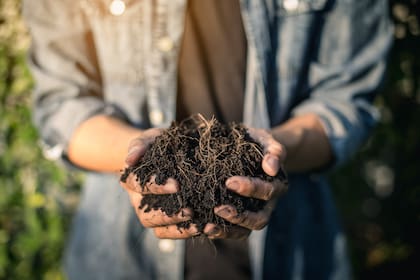 Agricultura sustentable: Uruguay cuenta con tres Empresas B (firmas que incluyen la sustentabilidad en sus negocios). Una es BioTerra que impulsa la agricultura sustentable, a partir de la conversión de residuos orgánicos en compost.