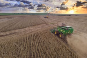 Agricultural tractor harvesting soybeans in the field in sunset - Pederneiras-Sao Paulo-Brasil - 03-20-2021