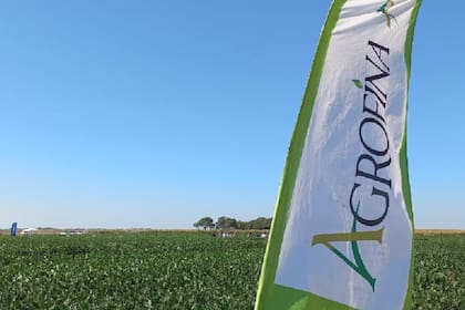 Agrofina, que controla Los Grobo, también fue a concurso de acreedores