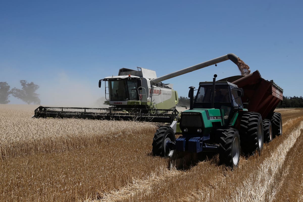 Agroindustria con salida al mundo La caída de la actividad y del poder adquisitivo afecta al sector, que también da cuenta de problemas estructurales; sin embargo, con innovación aplicada a las tareas rurales se estima que hay un enorme potencial; las exportaciones son por unos US$26.000 millones al