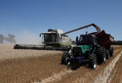 La agroindustria es la mayor generadora de divisas, pero también tiene trabas para operar.