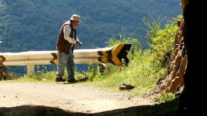 Agrónomos del Perú buscan variedades de papa silvestre