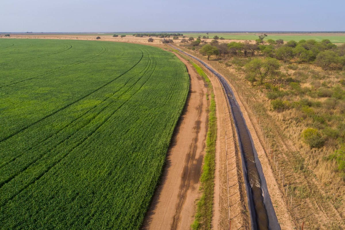 Agropecuaria Mistol Ancho produce semilla de soja, maíz y trigo con equipos de riego alimentados por paneles solares en Catamarca y Santiago del Estero