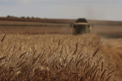 Agrotoken y Bunge están explorando oportunidades para cocrear soluciones para mejorar la experiencia digital de la red global de clientes de Bunge