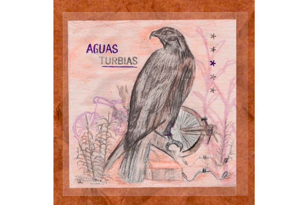 Agusa turbias. Asterisco 31 numeral