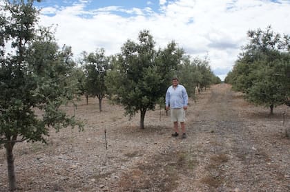 Agustín sigue formándose en ferias internacionales como la de Abejar, en Soria (España), uno de los epicentros mundiales del “mundo trufero”.