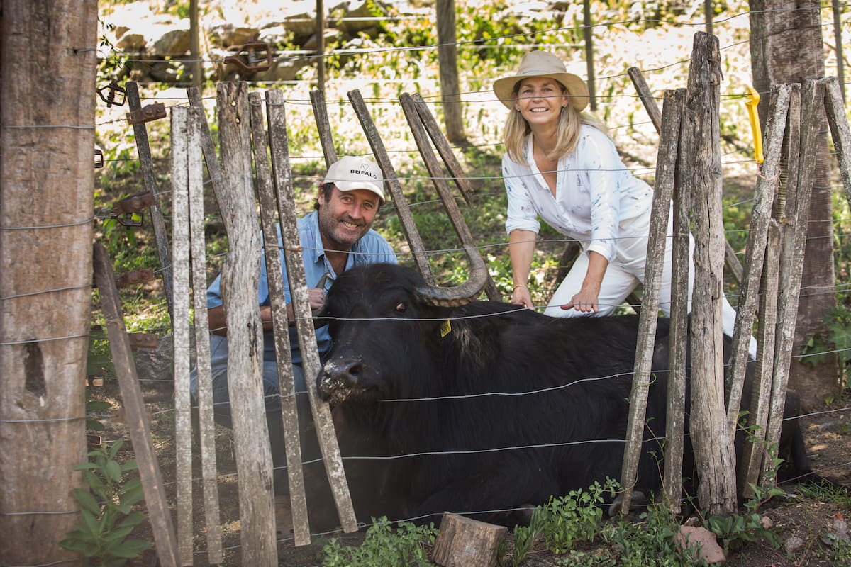 Agustín Soler y Catalina Centeno, junto a uno de sus búfalos.