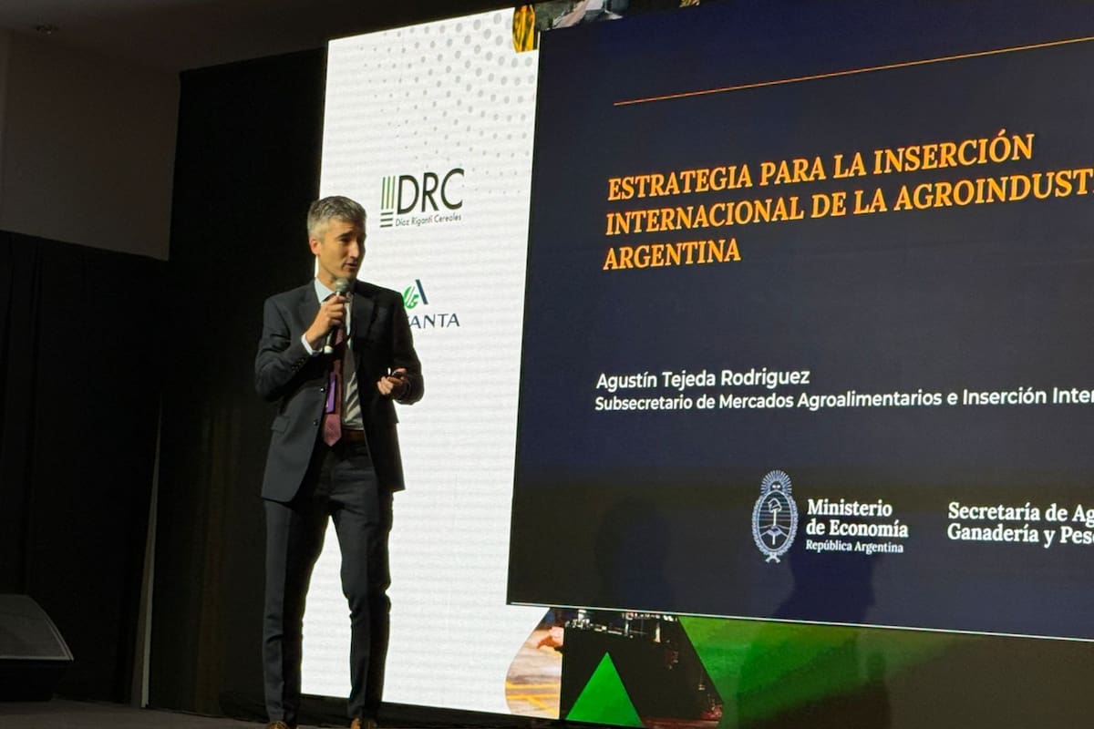 Agustín Tejada Rodríguez, subsecretario de Mercados Agroalimentarios e Inserción Internacional, en su disertación en el Congreso Maizar 2025