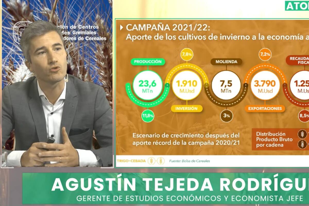 Agustín Tejeda Rodríguez, gerente de Estudios Económicos de la Bolsa de Cereales porteña destacó que las exportaciones de trigo y cebada crecerán 7,2%