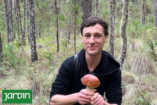 Las claves de un exitoso emprendimiento con elixires a base de hierbas cultivadas en el país