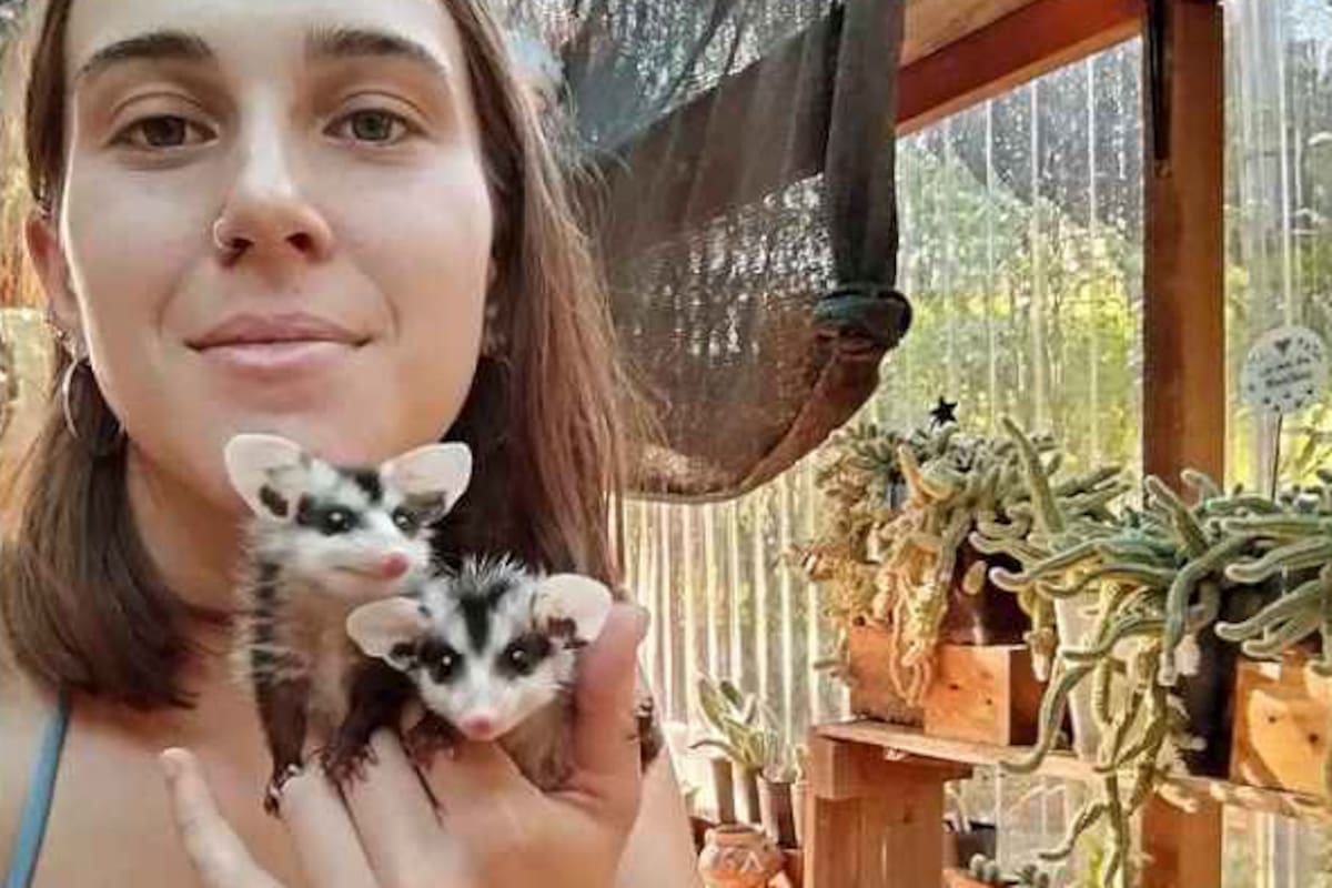 Agustina Volpato con dos de las tres zargüeyas que lograron sobrevivir; eran tan pequeñas cuando las encontró que cabían en su mano
