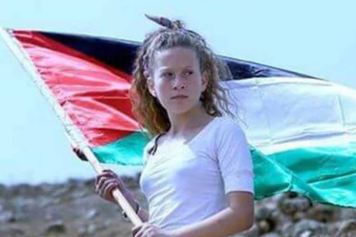 Ahed Tamini
